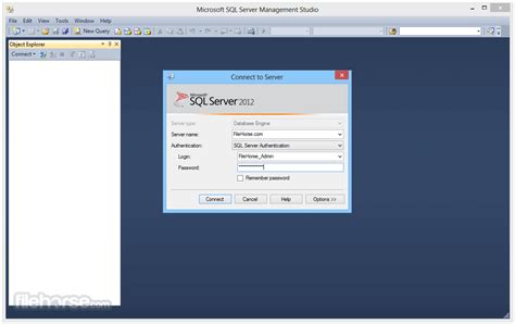 Microsoft SQL Server Developer 2025 Download Exe