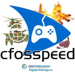 CFosSpeed 13.01.3001 Offline Installer